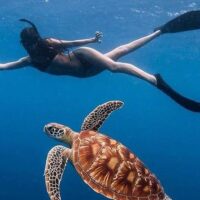 Shore Excursions