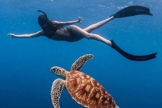 Bali Snorkeling at Blue Lagoon With Lunch And Private Transport