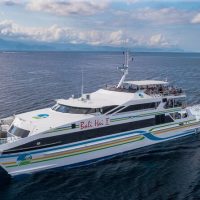 Catamaran Cruises