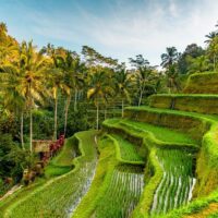 Walking & Biking Tours