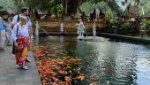 Ubud tour with Adi