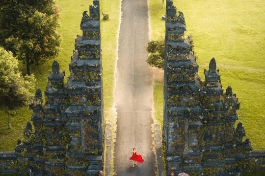 Full Day Private Tour in North Bali with Free WiFi