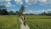Slow down and jump on a bike in Ubud