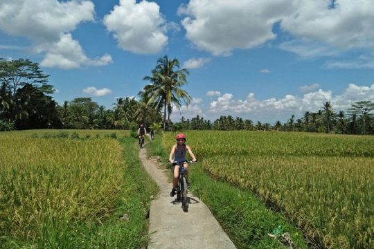 Ubud Eco Culture Cycling Exploration