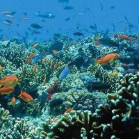 Day Trips & Excursions