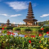 Tours & Sightseeing