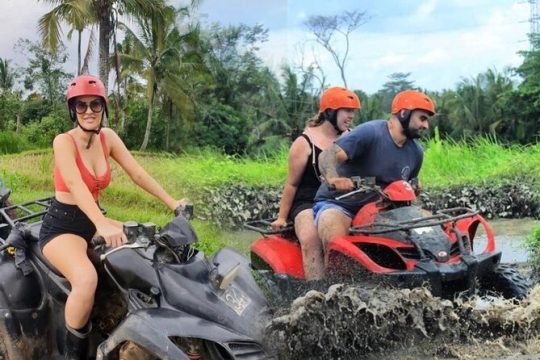 ATV Quad Bike with Jungle Swing Lunch - Transport- All Inclusive