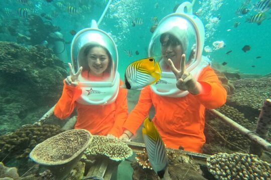 Bali Sea Walker Experience