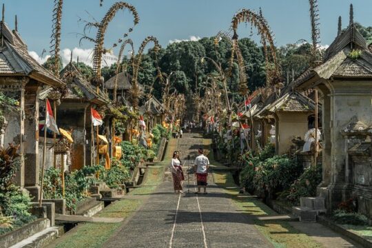 Penglipuran Traditional Village Tour with Swing, Rice Terrace, and Temple