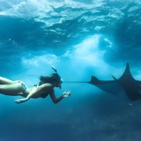 Luxury Tours