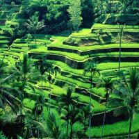 Historical & Heritage Tours