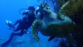 Beautiful dive site