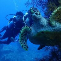 Scuba Diving