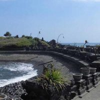Half-day Tours