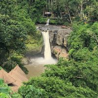 Cultural & Theme Tours