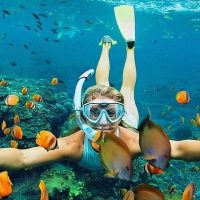 Ports of Call Tours