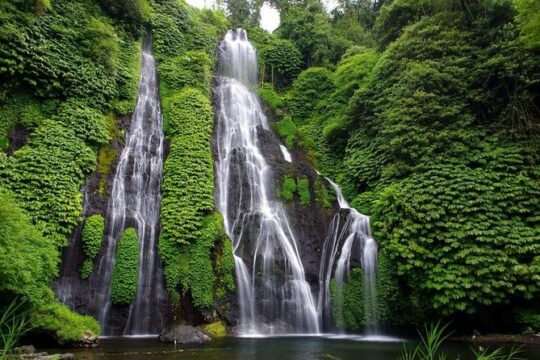 Bali Best Waterfalls Tour : Sekumpul and Banyumala