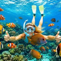 Day Trips & Excursions