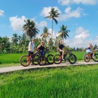Half-day Tours