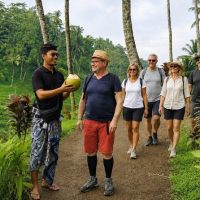 Shore Excursions