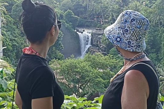 Ubud Kintamani Tirta Empul Waterfall Private Guided Tour