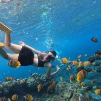 Shore Excursions