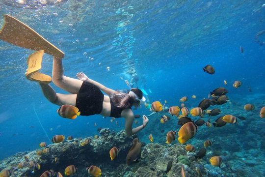 Day Trip From Nusa Lembongan with Snorkeling