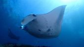 Best dive center in Bali!