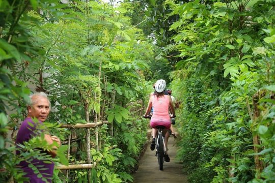 Bali Countryside Cycling Adventure