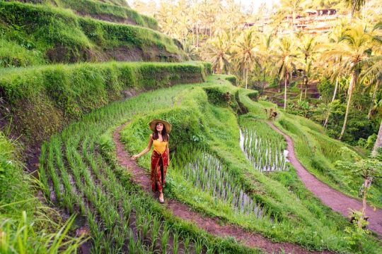 Best of Ubud Private Day Tour