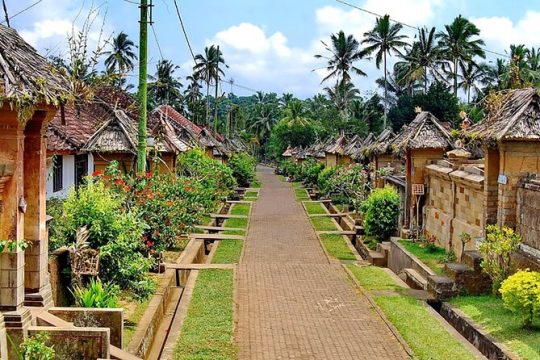 Penglipuran Traditional Village Tour with Swing, Rice Terrace, and Temple