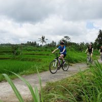 Cultural & Theme Tours