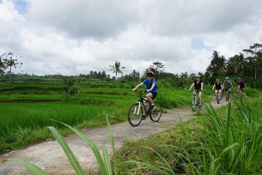 Full Day Kintamani Cultural and Nature Cycling Tour