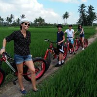 Half-day Tours