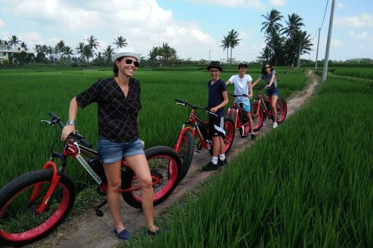 Half-Day Fat Tire Electric Bike Tour from Ubud