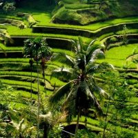 Private & Custom Tours