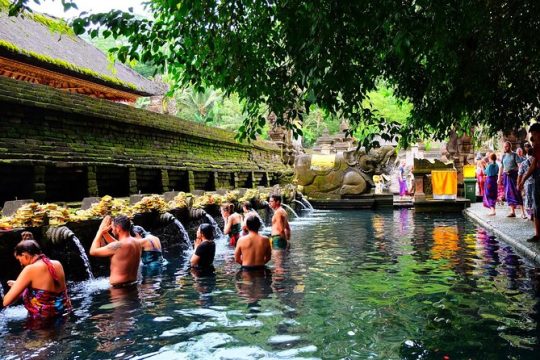 Half-Day Ubud Electric Cycling Tour to Tirta Empul Water Temple