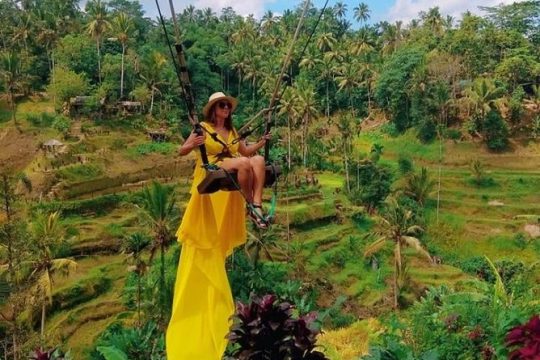 Best of Bali Jungle Swing with Ubud Sightseeing Tour