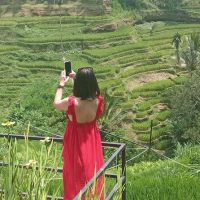 Half-day Tours